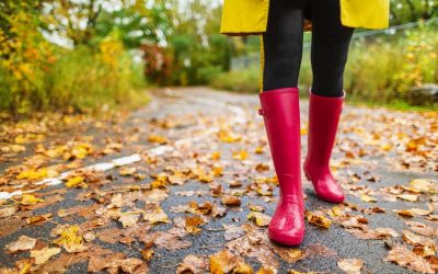 What to Do Around the Twin Cities in the Fall