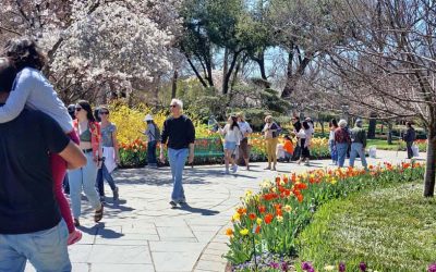 What to Do Around the Twin Cities in the Spring