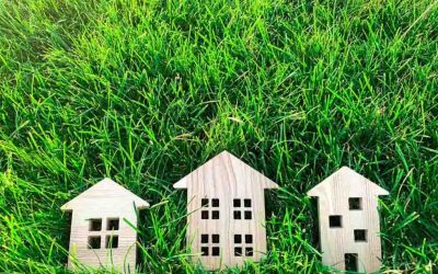 Eco-Friendly Practices in Tycon Properties & Green Tips for Renters