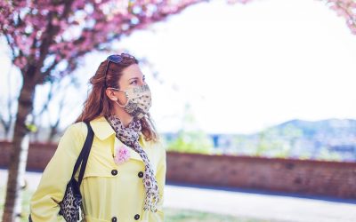 Things to Do in the Twin Cities This Spring