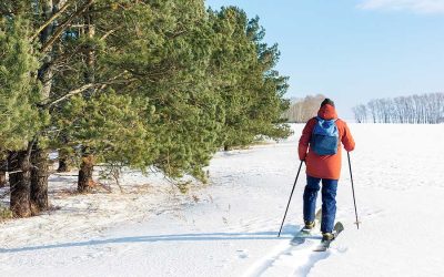 Things to Do in the Twin Cities this Winter