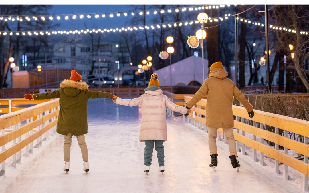 Activities in the Twin Cities this Winter