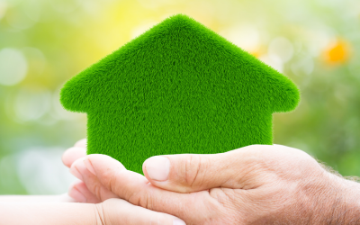 Embrace Eco-Friendly Living: Green Tips for Renters in Tycon Properties